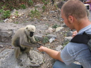 Jason feeding a monkey