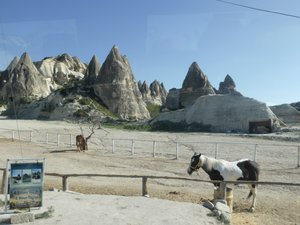 Horses at the Cappadocia rock formations