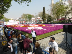 Tulip Festival, Istanbul