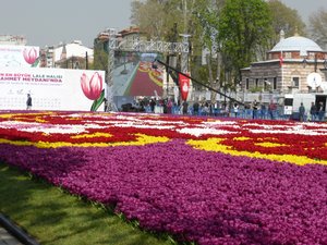 Tulip Festival, Istanbul