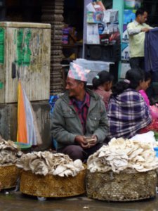 Mushroom seller, Kathmandu