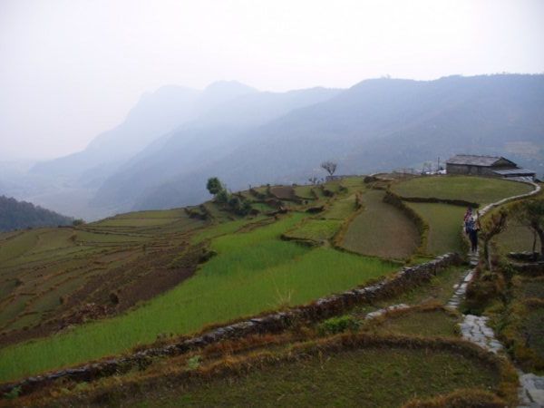 Terraced hillside