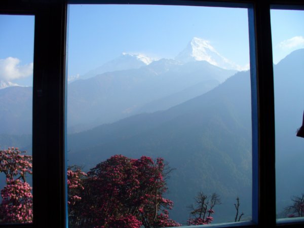 Mountain view from my room at the Tea House in 