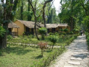 Chitwan jungle lodge