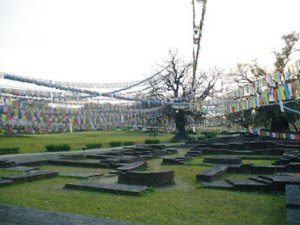 Lumbini gardens