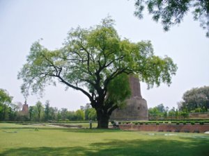 The Stupa at Sarnarth