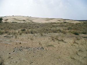 The Thar desert