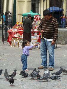 Feeding the pigeons, Lima