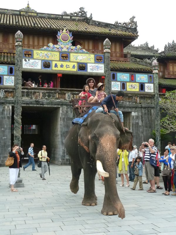 Elephants inside the Citadel