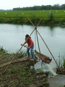 Paddy field irrigation techniques