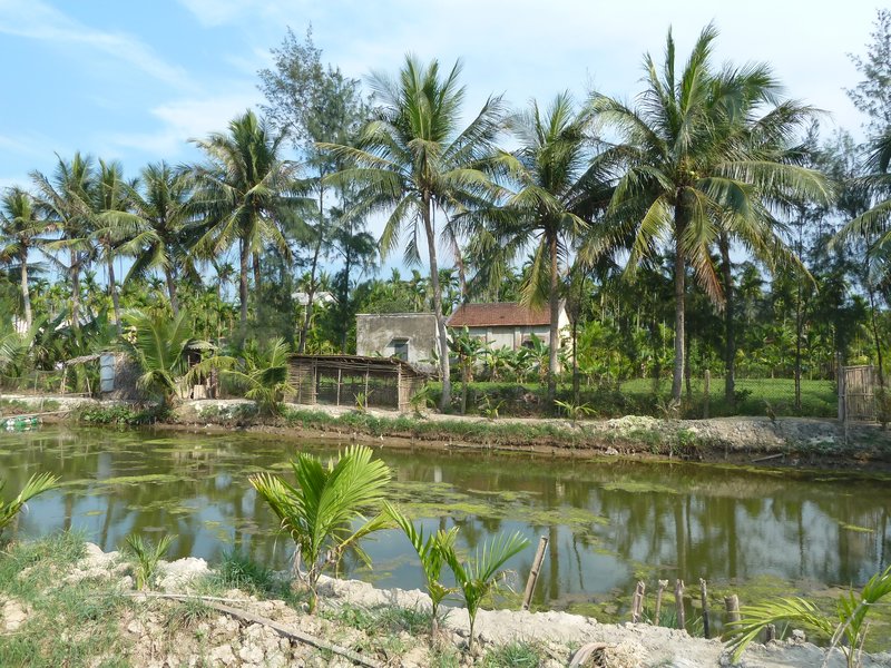 Farm in the countryside near Hoi An