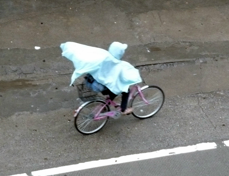 Ponchos for the bike riders