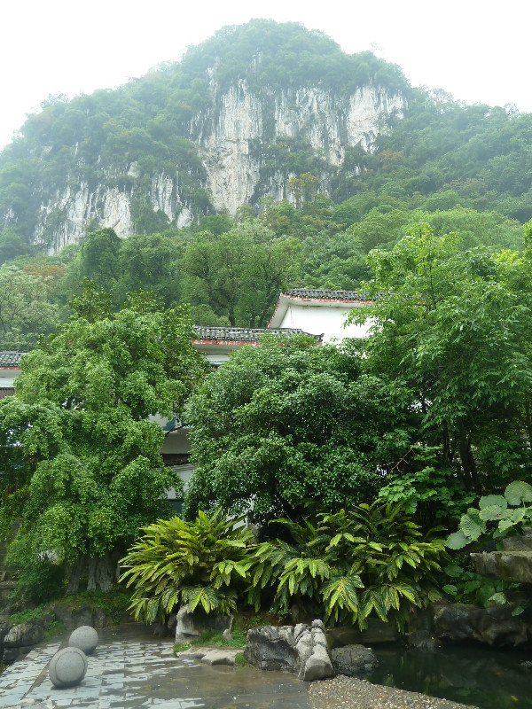 Lush vegetation at Yangshuo