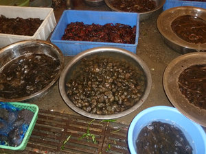 Snails, eels and mini lobsters at Yangshuo market