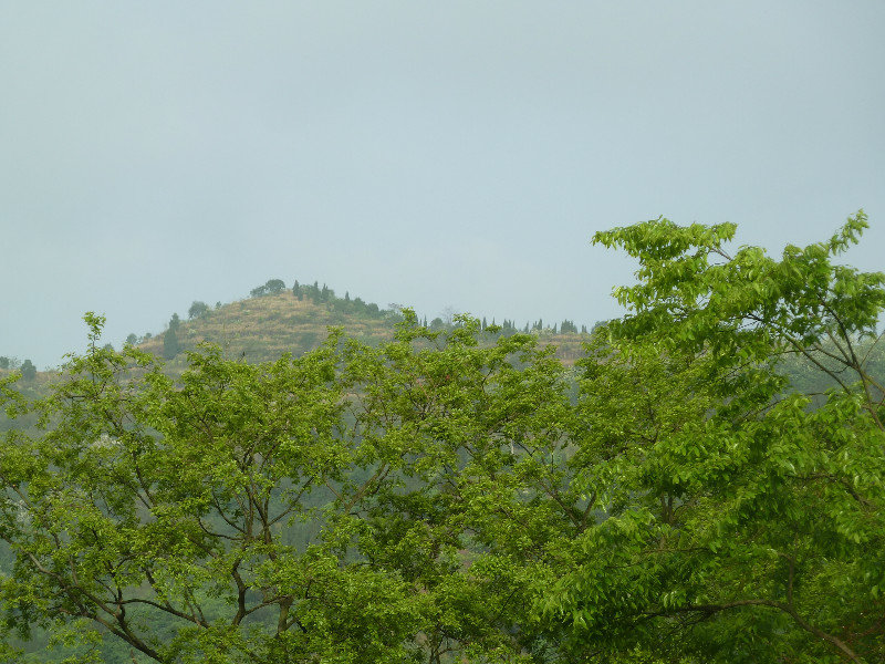 Hillside view