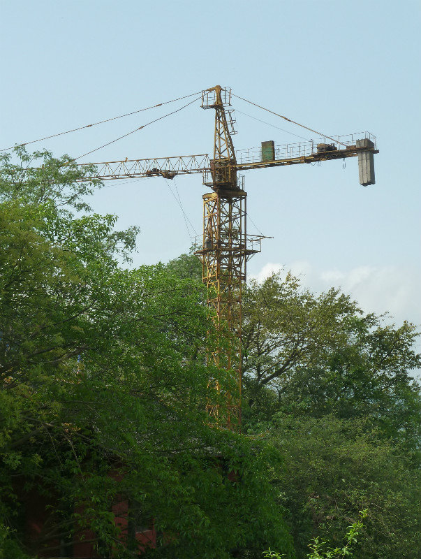 National bird of China - the construction crane