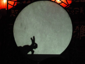 Rabbit hand shadow at the Chengdu Cultural Show