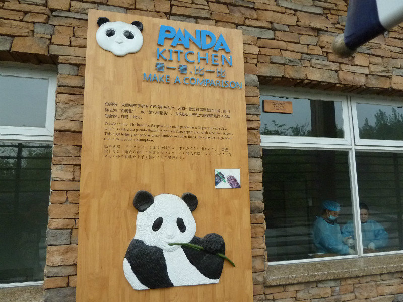 Panda kitchen at the Chengdu Panda Breeding Centre