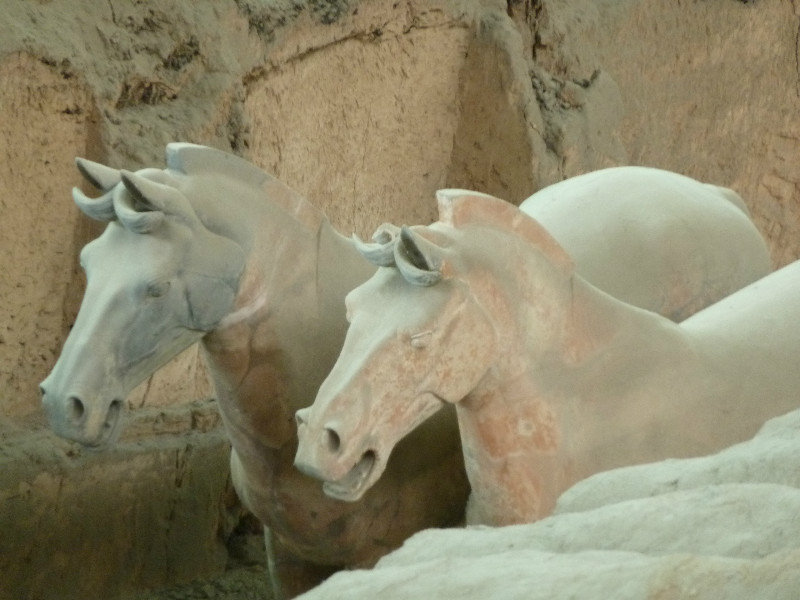 Terracotta horses - Pit 1