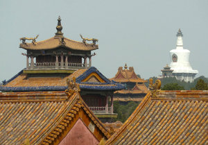 Pretty roof tops in the Forbidden City