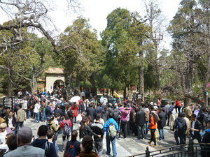 Hoards of people in the garden in the Forbidden City