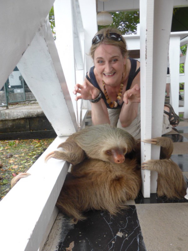 Meeting a sloth!