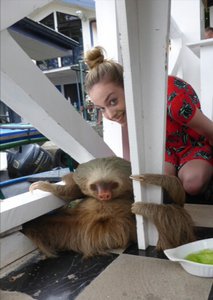 Kathryn loving meeting the sloth