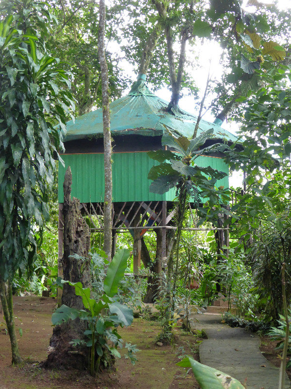 One of the tree houses