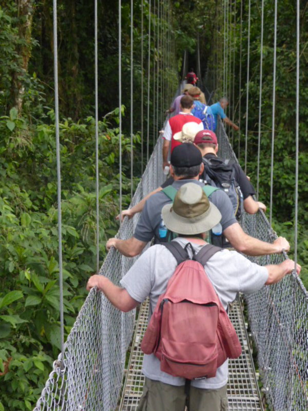 Crossing the wobbly hanging bridges