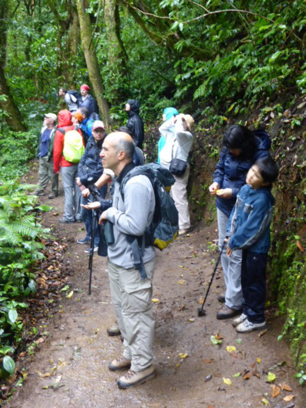 Waiting to see the quetzal