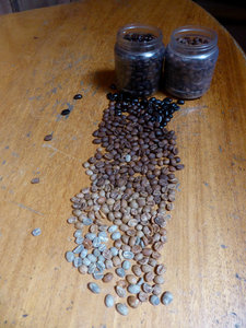 Beans of different colours have been roasted for different amounts of time