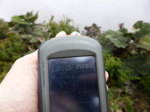 The answer to my virtual geocache question - we're at 2503m altitude