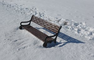 Snowed in bench!