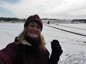 Finding another geocache at the University of Iceland