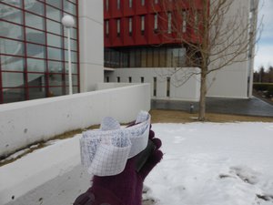 Finding the National Library of Iceland geocache