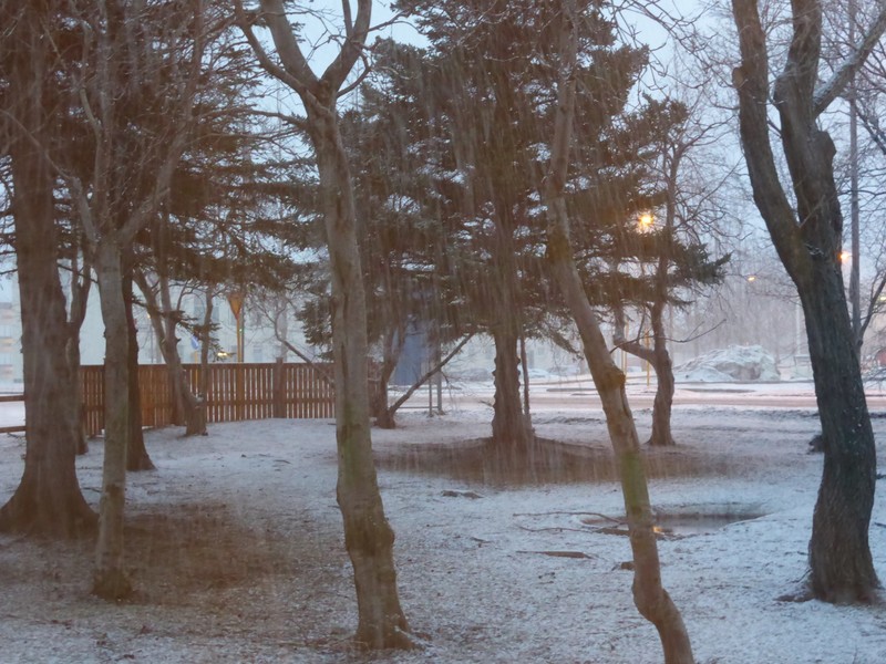 Snowing outside my hostel