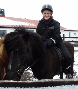 Icelandic horse trek