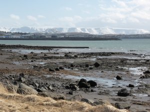 Reykjavik shoreline near the domestic airport