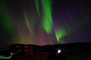 Northern lights (photo courtesy of Reykjavik Excursions)