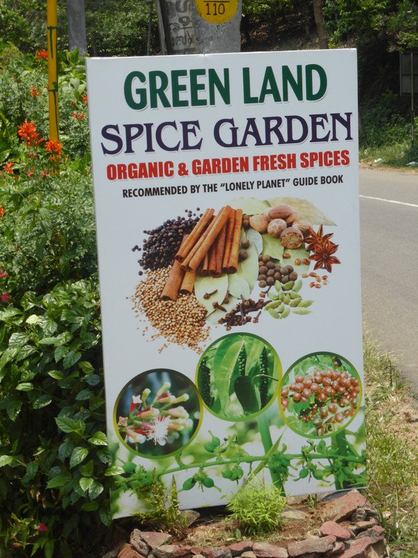 Green Land Spice Garden 
