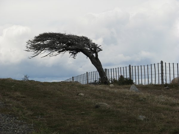 Patagonia wind