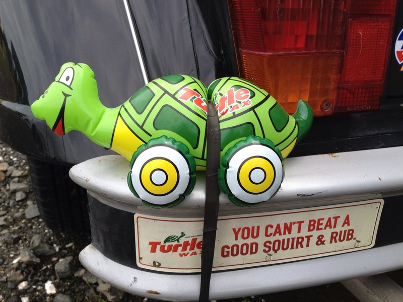 Foley the turtle
