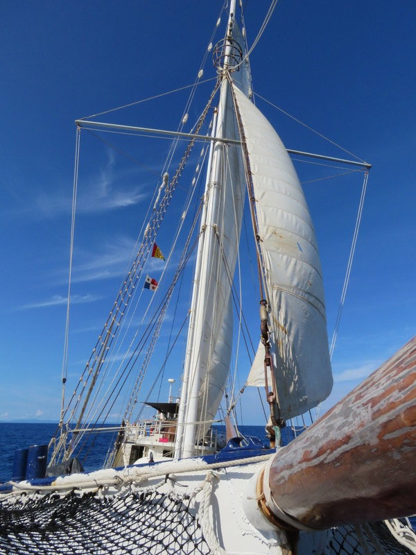 From the bowsprit 