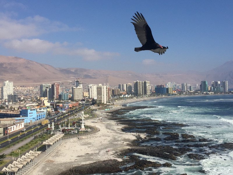 The view from our room of Hotel Gavina in Iquique. 