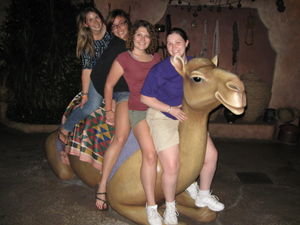 On the camel