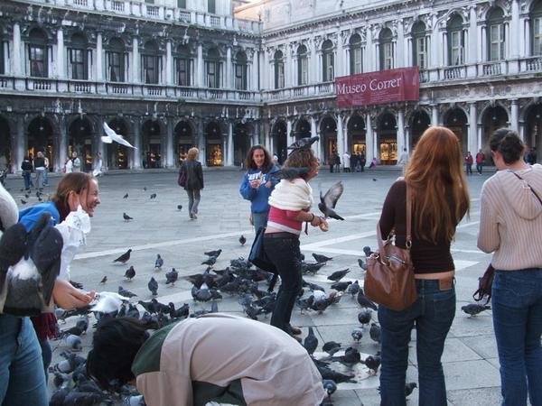 Fun with pigeons