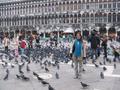 Not playing with the pigeons...