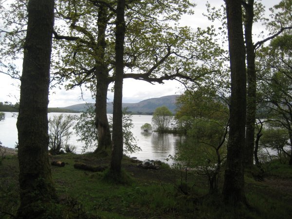 View of Loch Lomond on lower ground