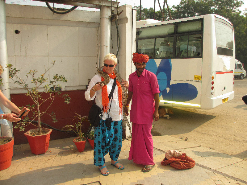 Snake Charmer in Agra