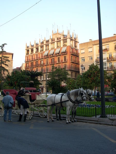 Horse-drawn carriage
